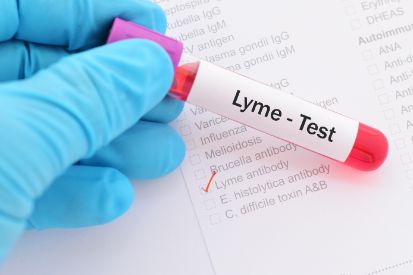 Lyme-Disease4